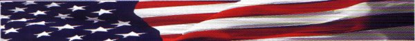 Stars and Stripes Graphic