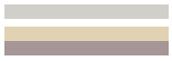 Toyota Replacement Stripes