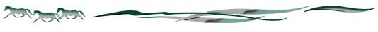 Open Range Nassau Green/Silver/Charcoal Graphic
