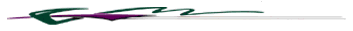 Profile Raspberry/Nassau Green Graphic