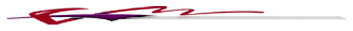 Profile Raspberry/Red Graphic