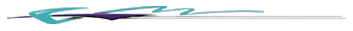 Profile Plum/Turquoise Graphic