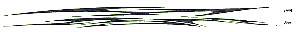 Viper Decal Sets