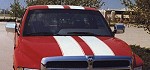 Rally Panel Truck Stripes
