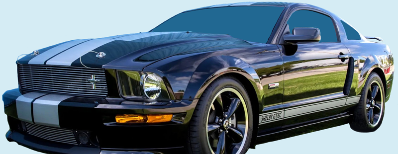 2007-08 Mustang SHELBY GT/SC Lemans Stripe (18.4")