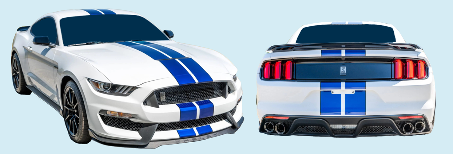 2015-22 Mustang Shelby GT350/R (15-22) /GT500 (20-22) Dual Narrow2-Color Lemans Stripe (15.5")