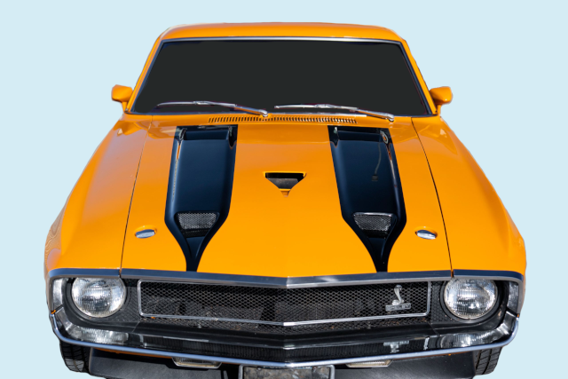 1970 (69-70) Ford Mustang Shelby GT350 GT500 NACA NASA Hood Stencil