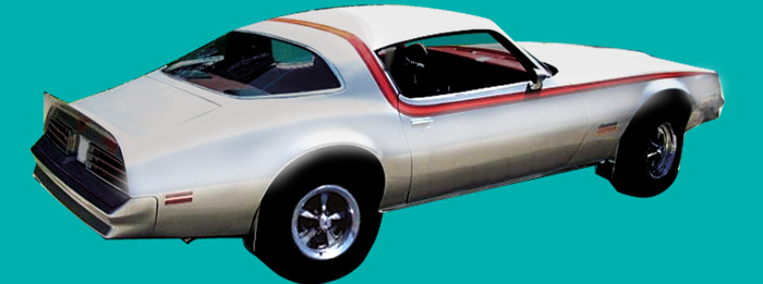 1976-78 Firebird/Formula