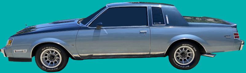 1981-87 Buick Regal Limited, Turbo T, T-Type D84 Stripes